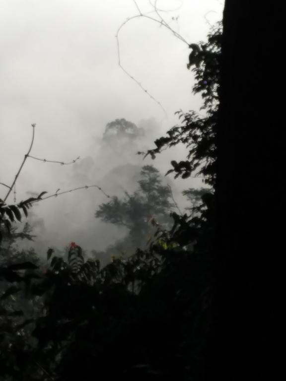 最后疆域精品度假山林小屋 比利特 外观 照片