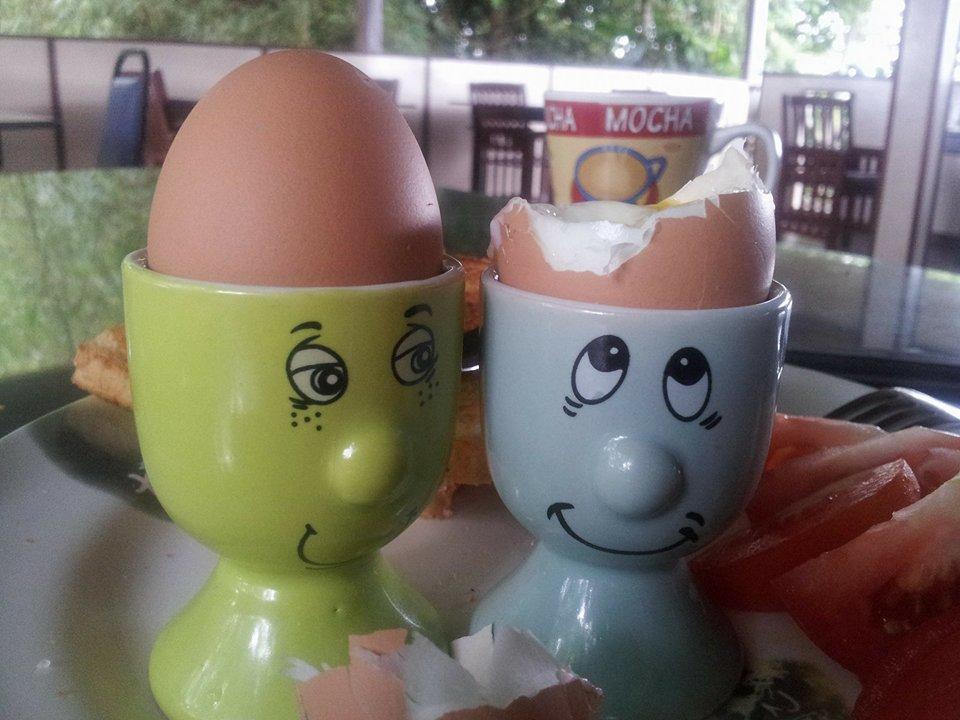 最后疆域精品度假山林小屋 比利特 外观 照片